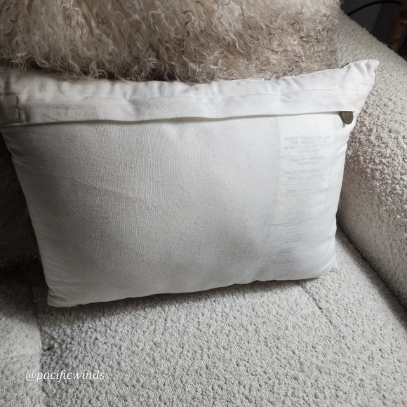 Pier 1 Imports Beaded Embroidered Lemon Orange Peach Fruit Pillow 16" x …      c - Picture 6 of 7